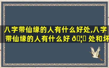 八字带仙缘的人有什么好处,八字带仙缘的人有什么好 🦈 处和坏 🐛 处